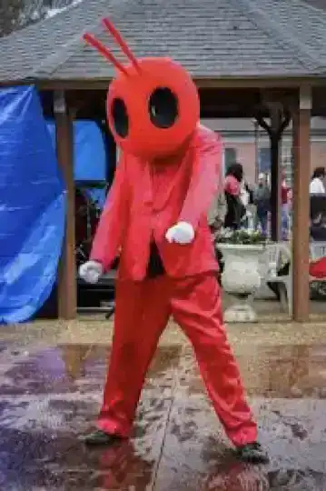 in ant costume